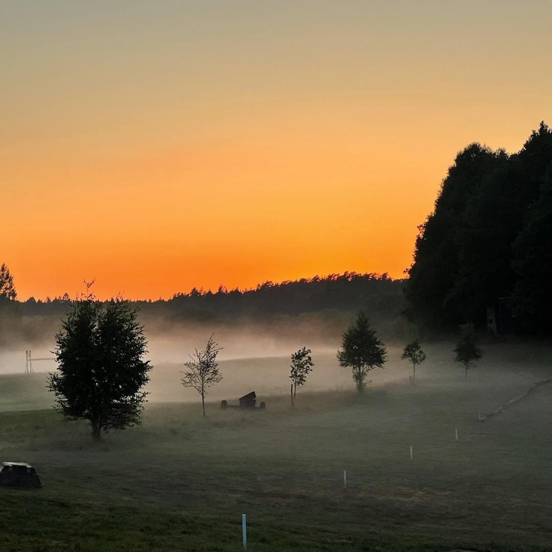 Ale Loge på Ale Disc Golf Center - dimslöjor över fälten