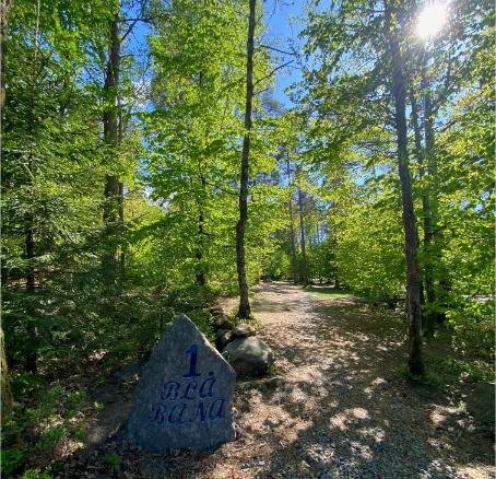 Discgolf som företagsaktivitet